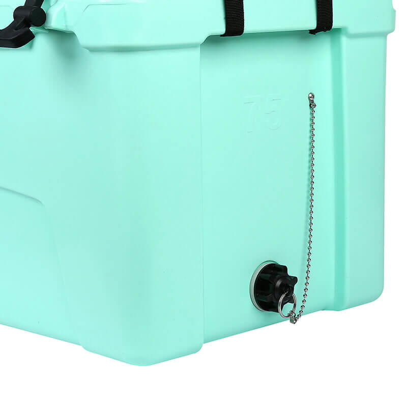 lunch cooler with hard liner